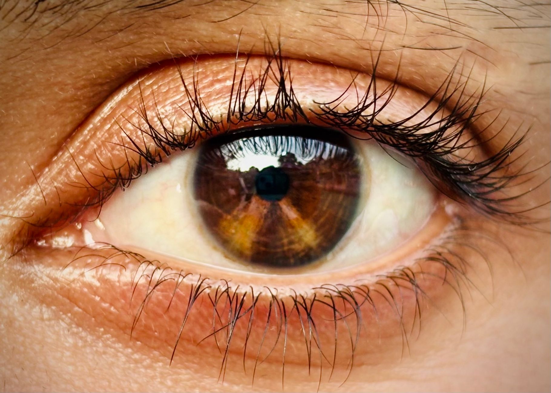 bottom eyelash extensions example — Luxury Lashes Federal Way WA