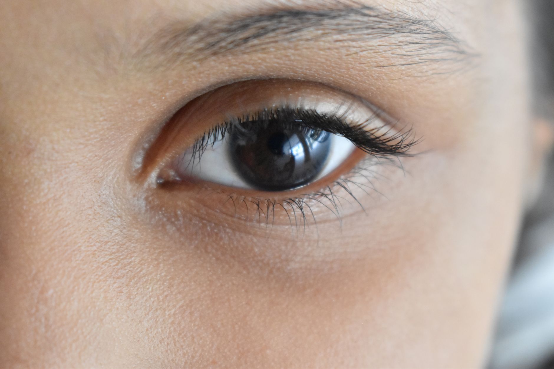 bottom eyelash extensions guide — Luxury Lashes Federal Way WA