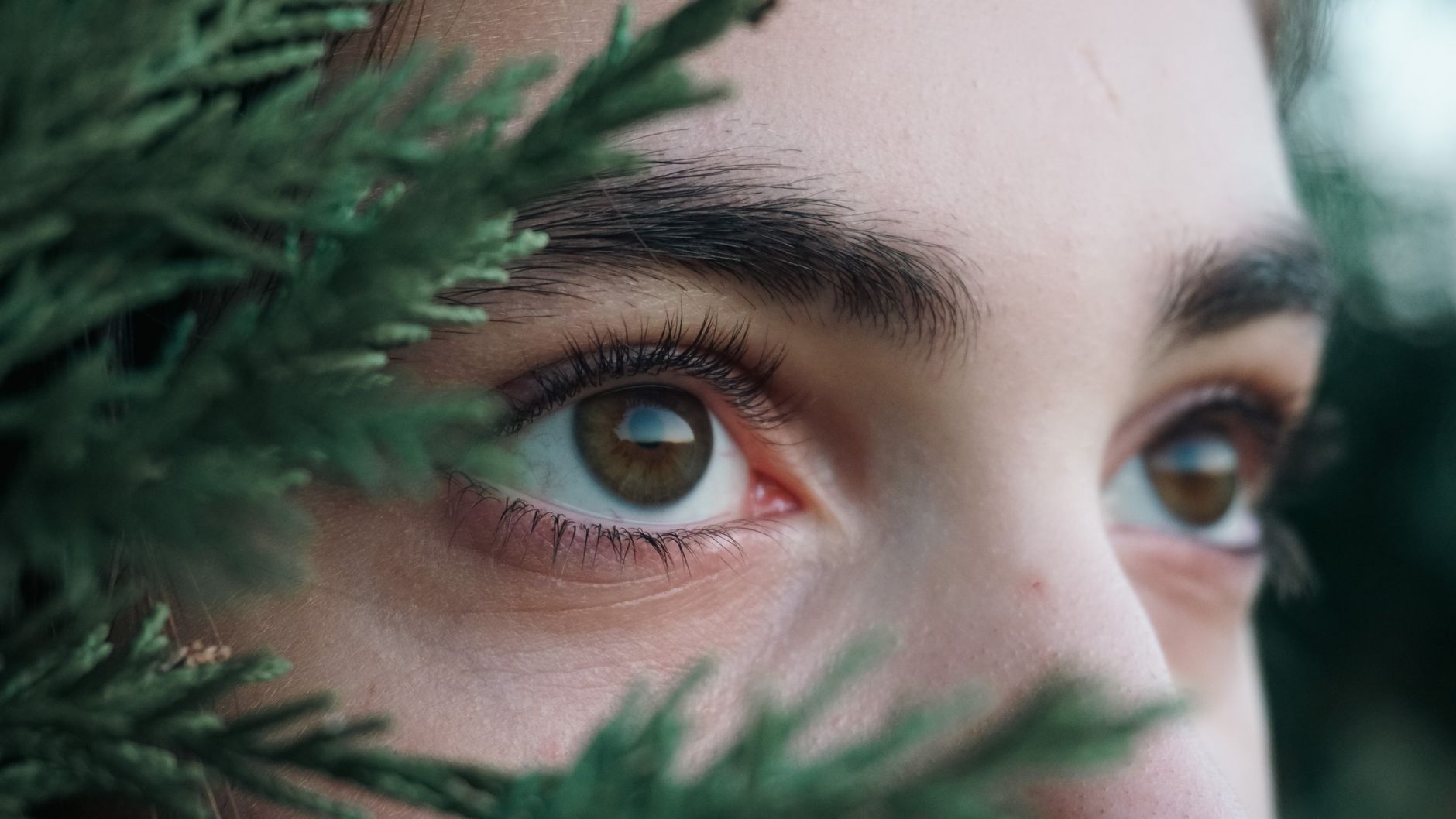 eyebrow shapes aftercare — Luxury Lashes Federal Way WA