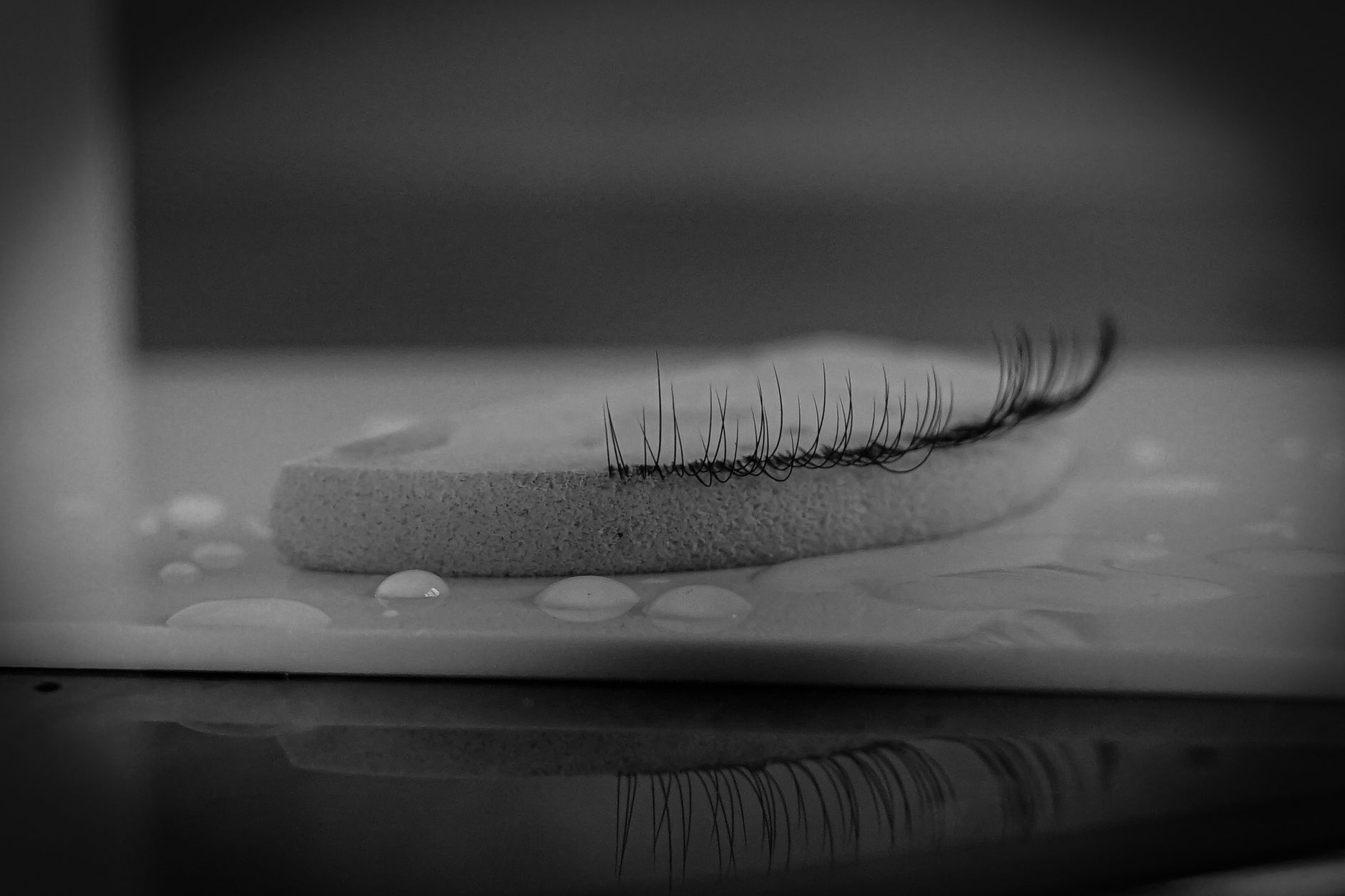 eyelash extension curls example — Luxury Lashes Federal Way WA