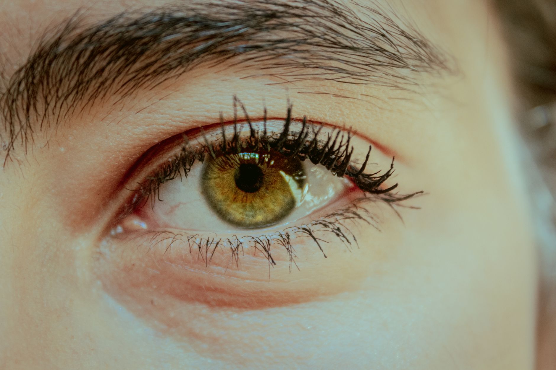 eyelash extensions and false lashes closeup — Luxury Lashes Federal Way WA