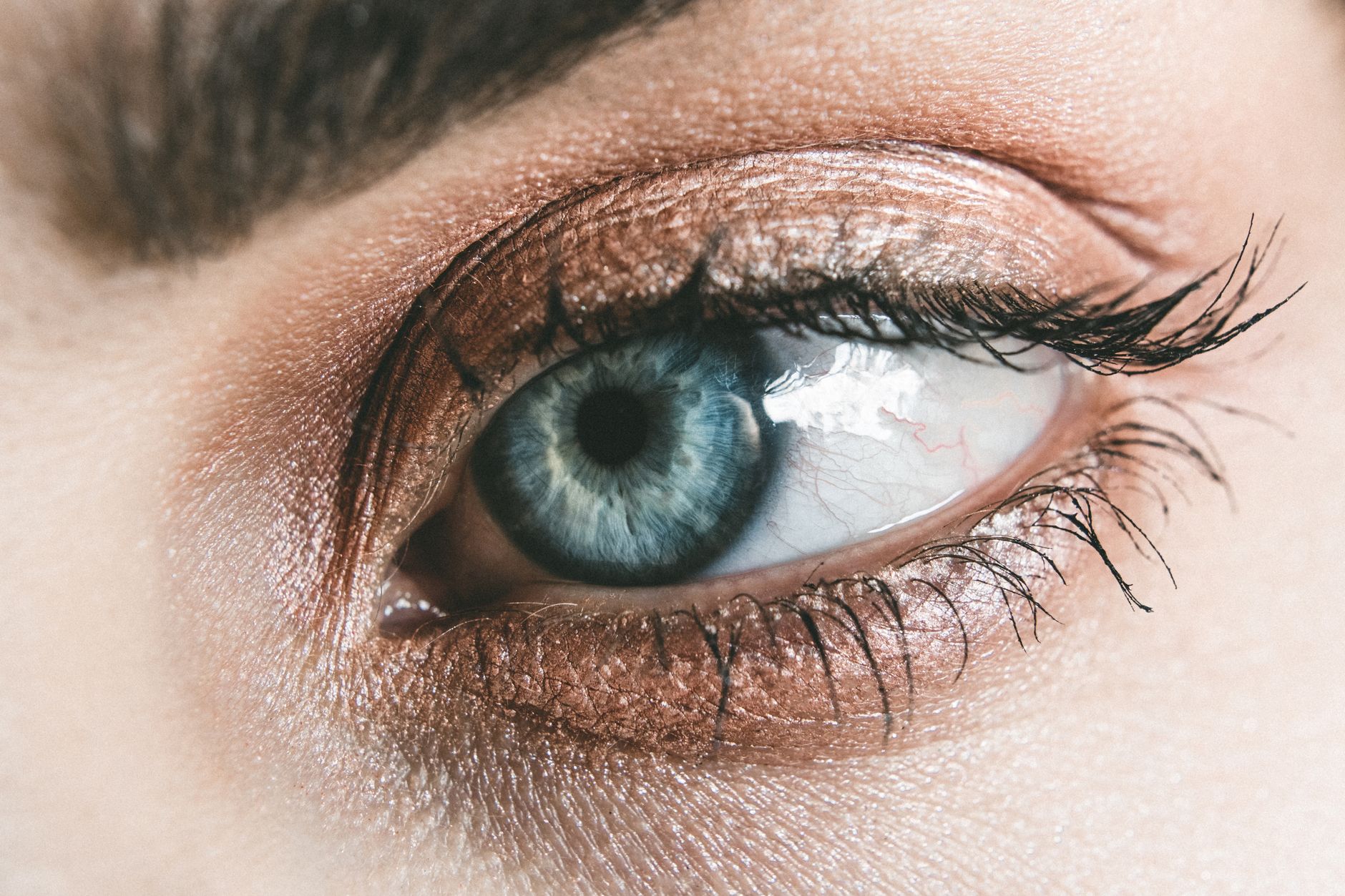 lash lift results detail — Luxury Lashes Federal Way WA