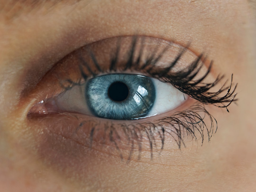 eyelash extension fills guide — Luxury Lashes Federal Way WA