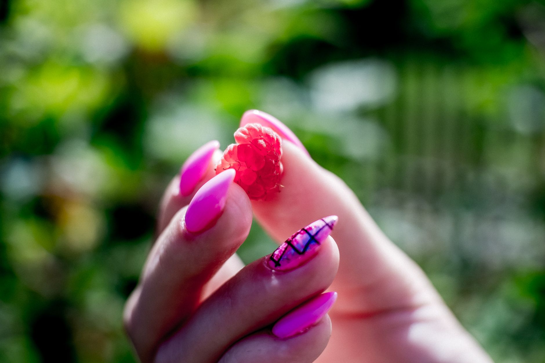 healthy long natural nails closeup — Luxury Lashes Federal Way WA