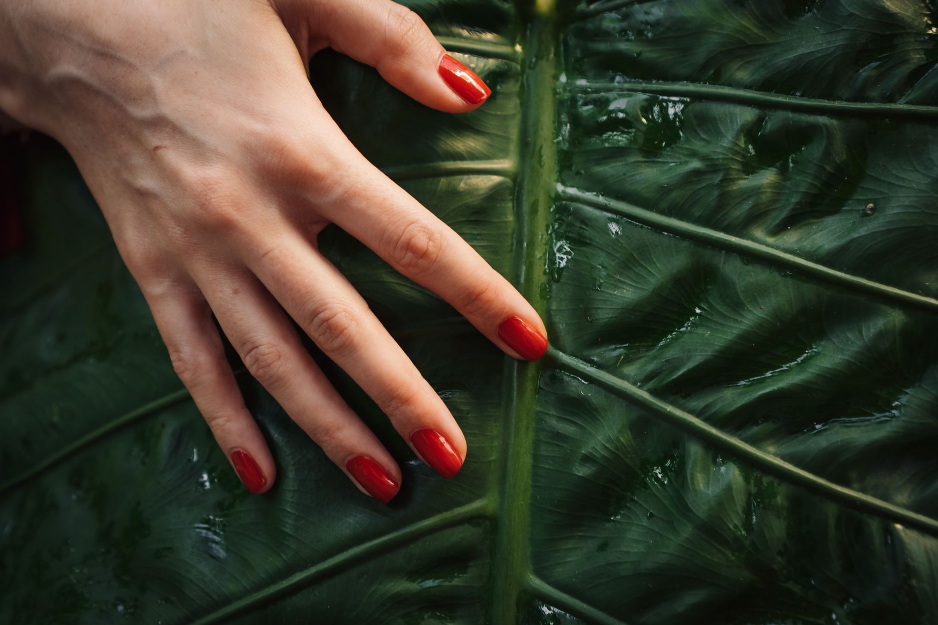 healthy long natural nails tips — Luxury Lashes Federal Way WA