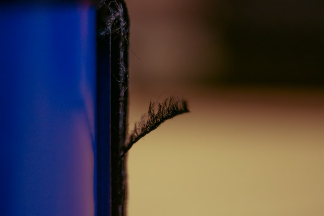 lash length and curl closeup — Luxury Lashes Federal Way WA