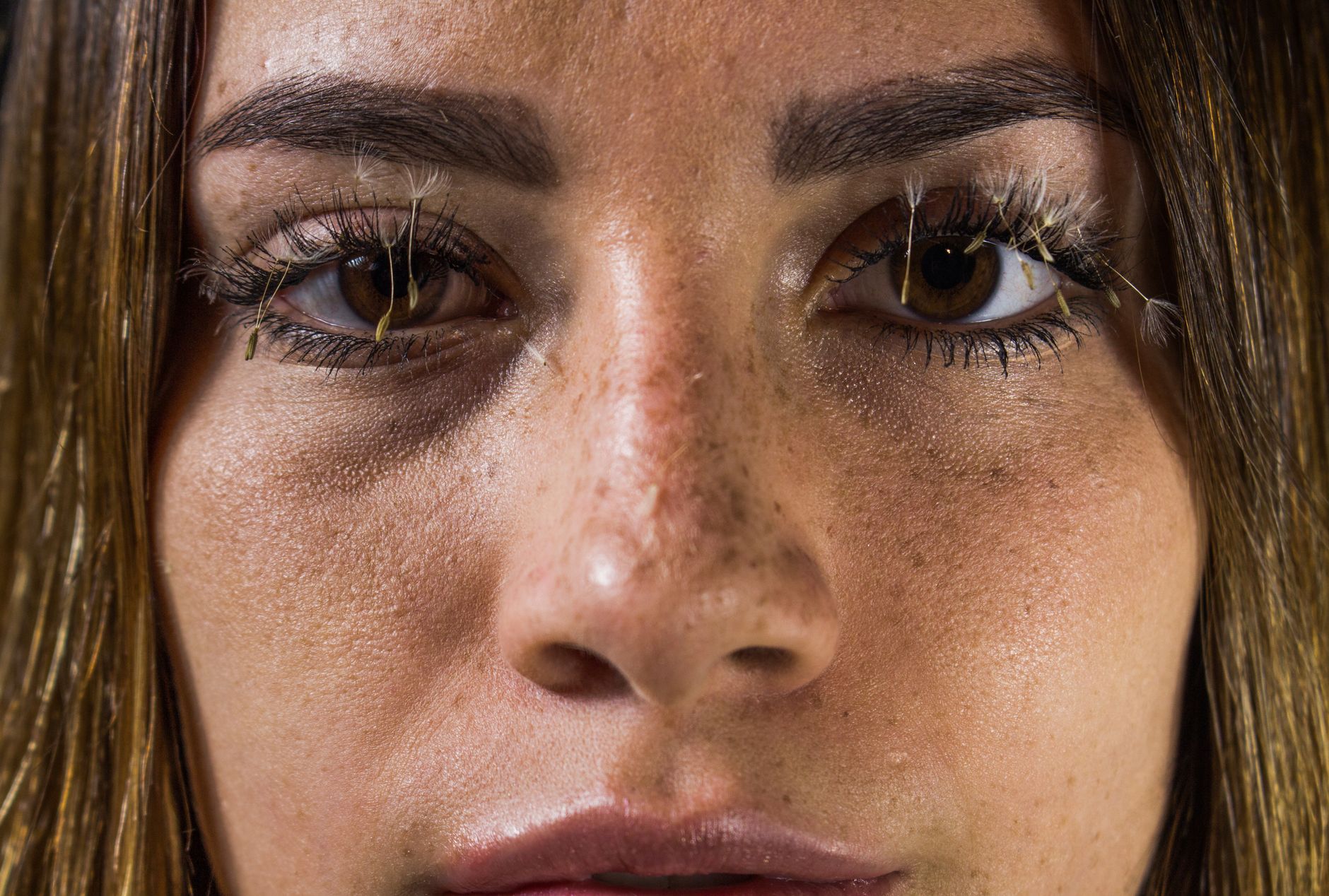 lash lift short lashes guide — Luxury Lashes Federal Way WA