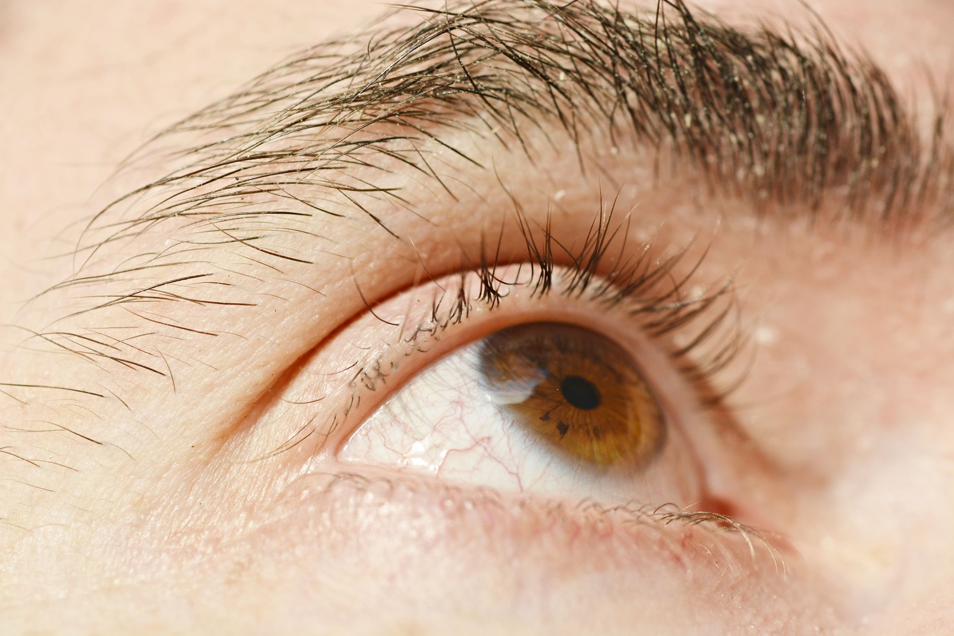 lash lift and tint closeup — Luxury Lashes Federal Way WA