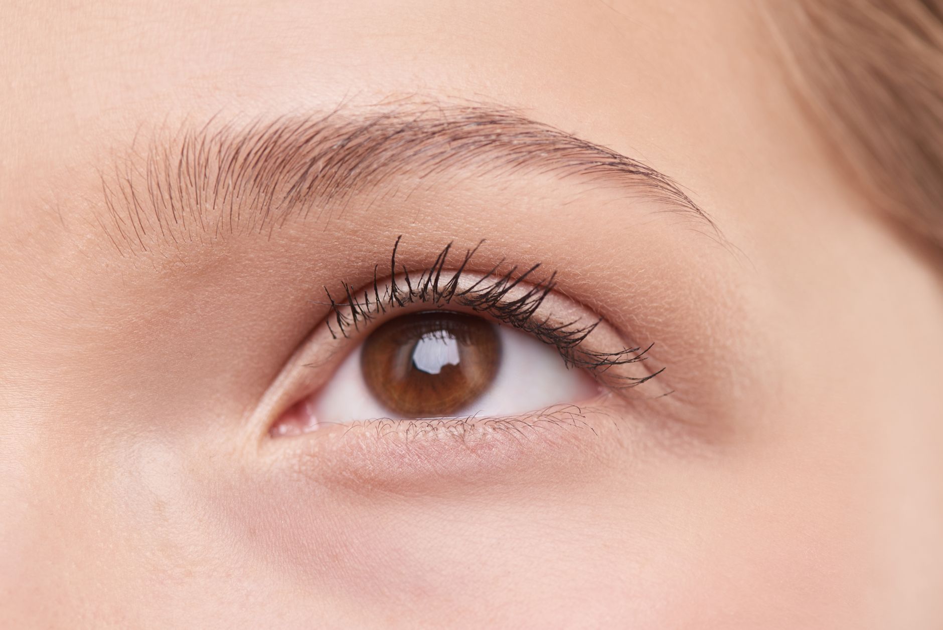 powder brows aftercare — Luxury Lashes Federal Way WA