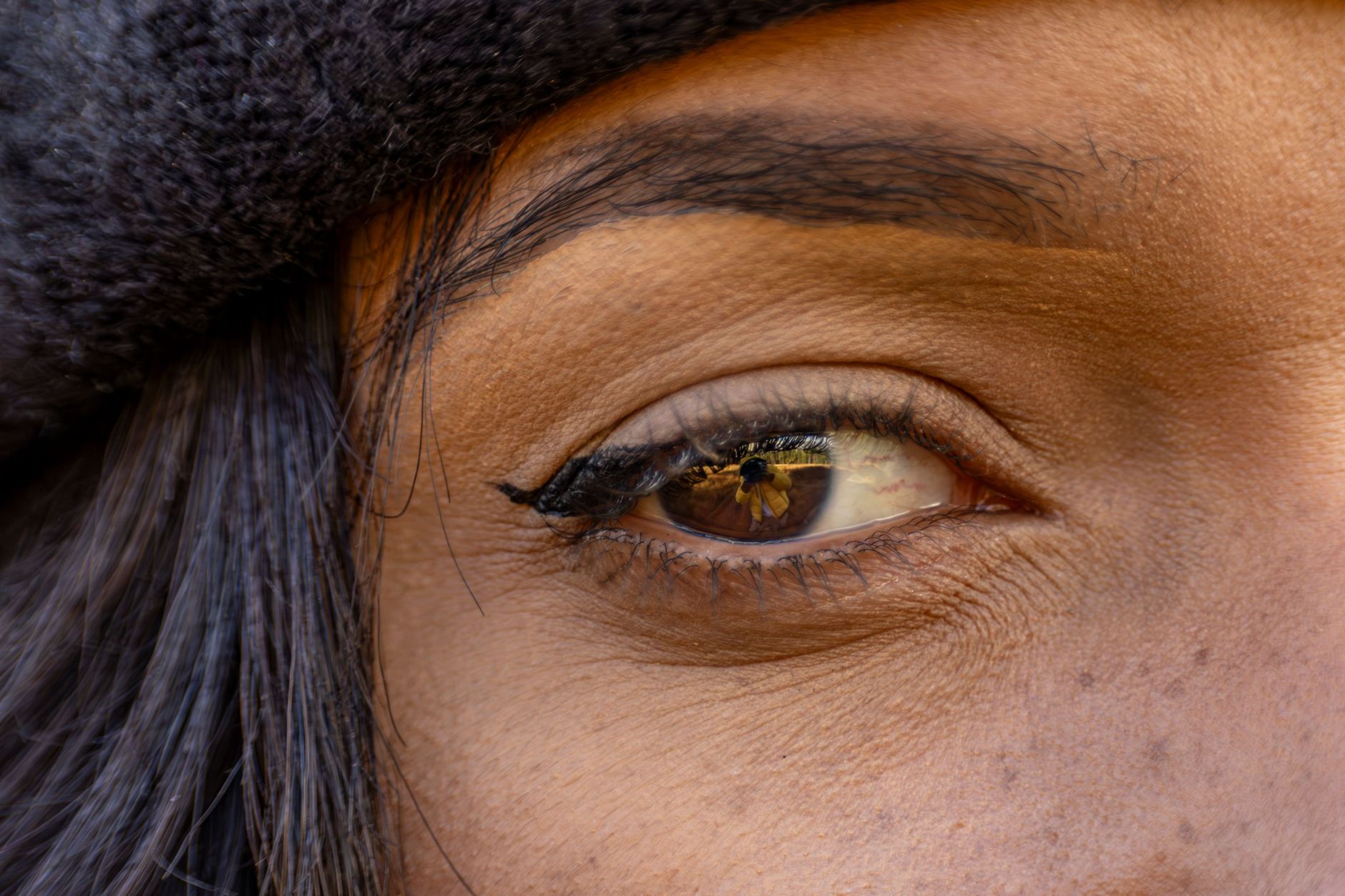 powder brows guide — Luxury Lashes Federal Way WA