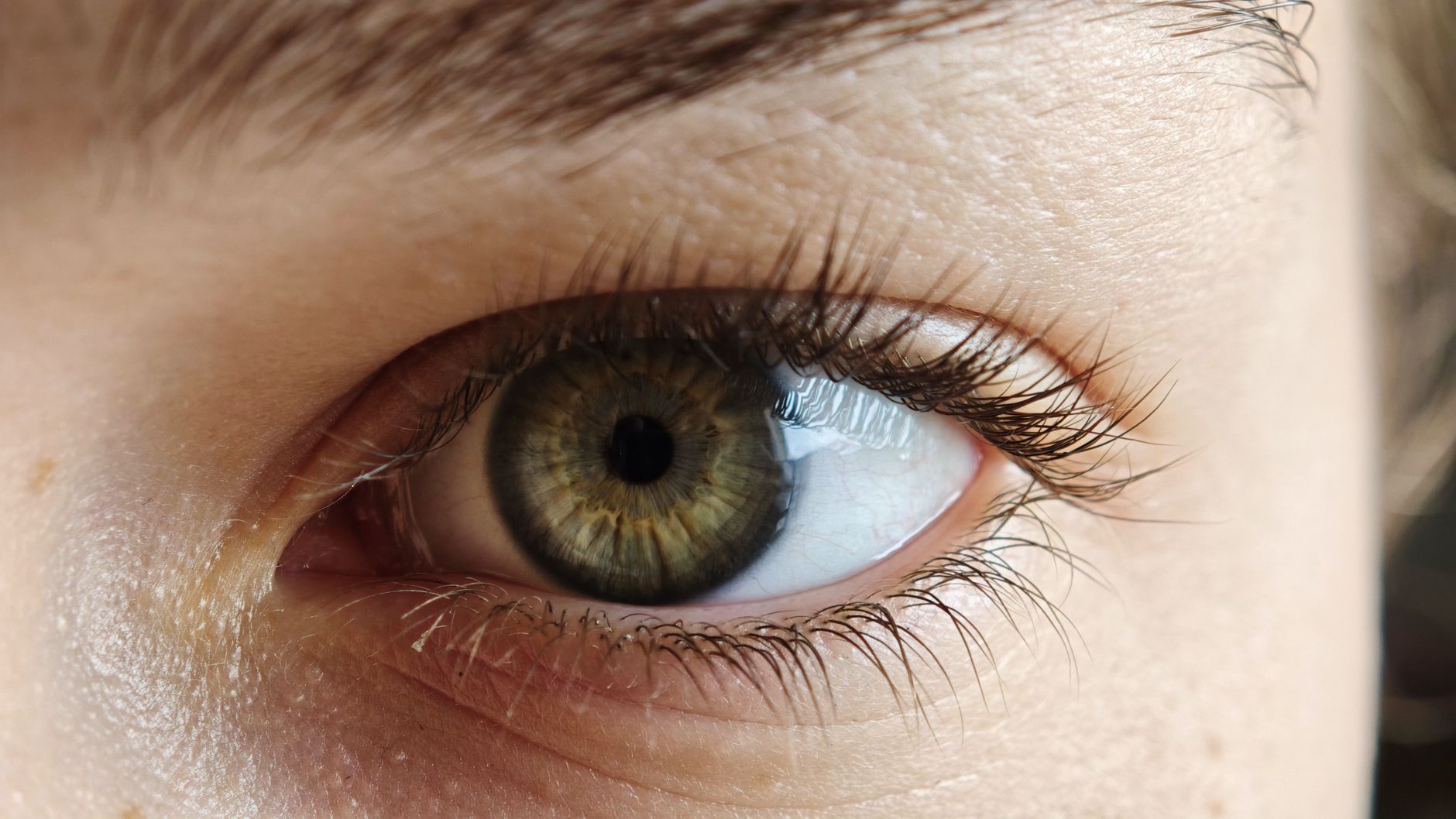 lash tint treatment tips — Luxury Lashes Federal Way WA