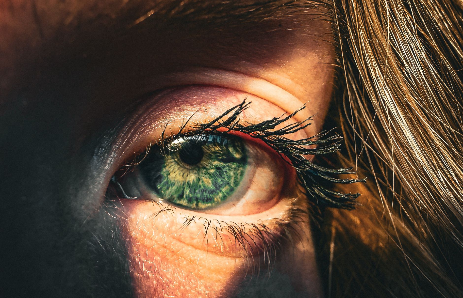 lash tint treatment detail — Luxury Lashes Federal Way WA