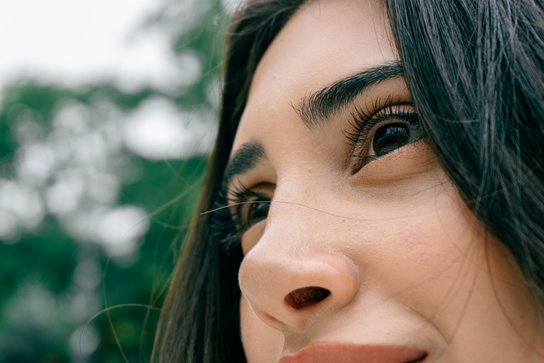 brow lamination treatment guide — Luxury Lashes Federal Way WA
