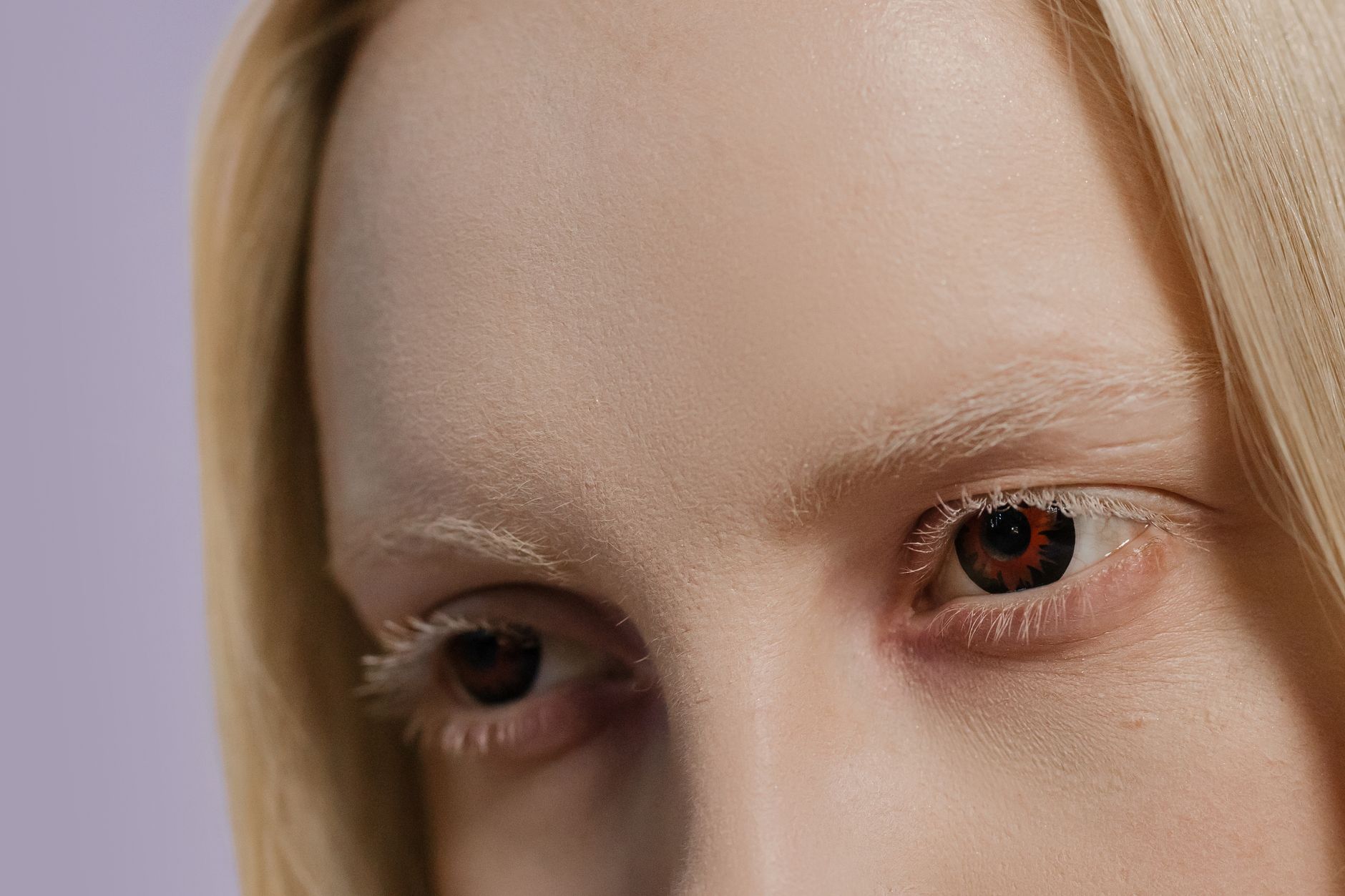 What Is Brow Lamination? Benefits, Cost & Results