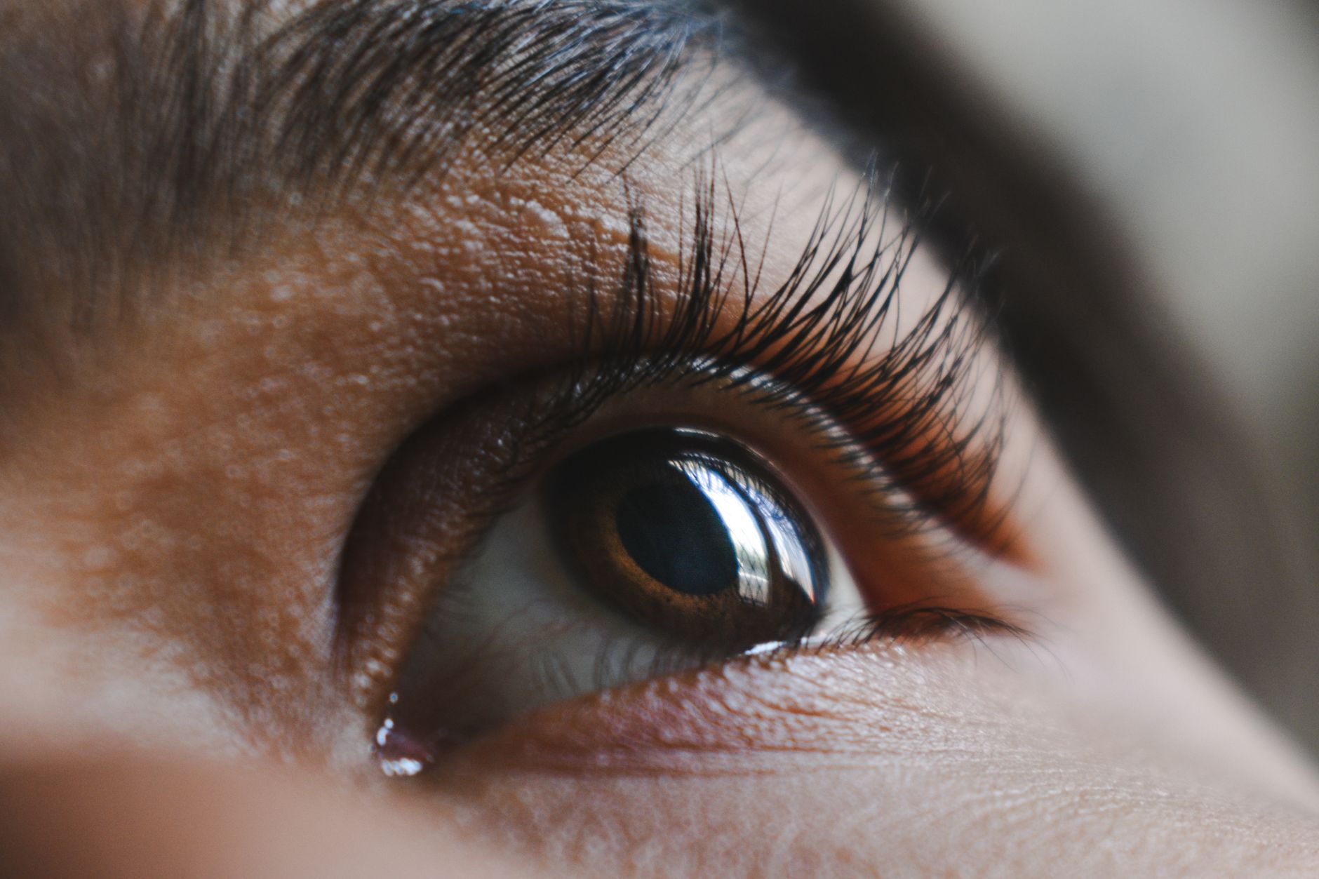 brow lamination treatment closeup — Luxury Lashes Federal Way WA